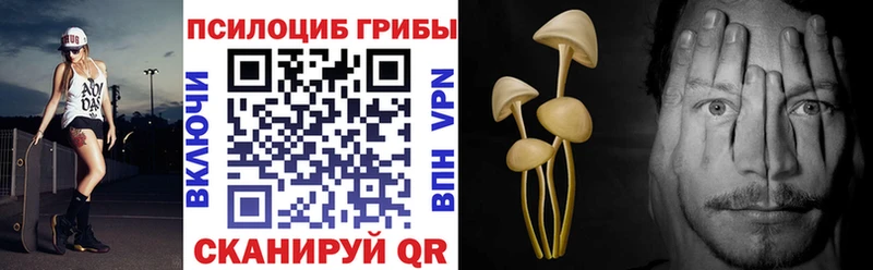 Псилоцибиновые грибы MAGIC MUSHROOMS  Купить  Мариинск 