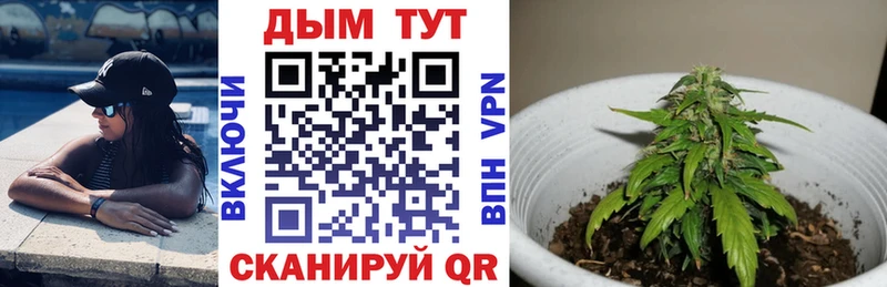 Купить где  Мариинск  Конопля планчик 